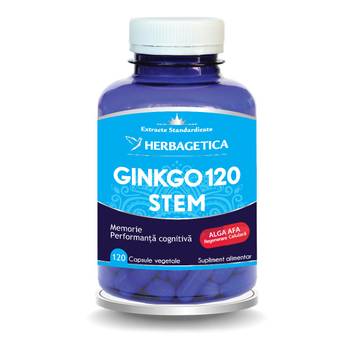 Memorie și concentrare - Ginkgo 120+ Stem, 120 capsule, Herbagetica, farmaciamare.ro
